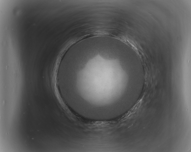 X0000102780145200808181157