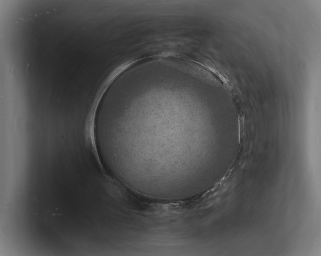 X0000102780147200808181157