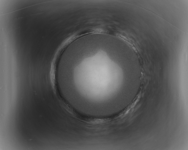 X0000102780149200808181157