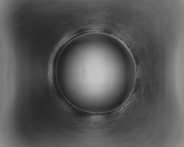 X0000102780150200808181157