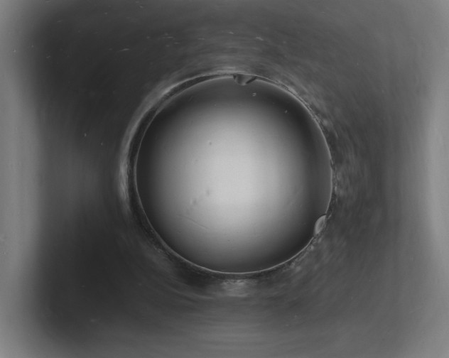 X0000102780152200808181157