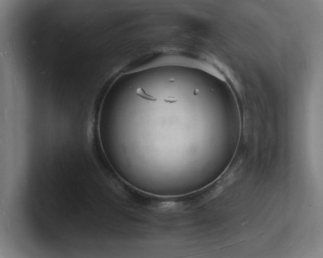 X0000102780153200808181157