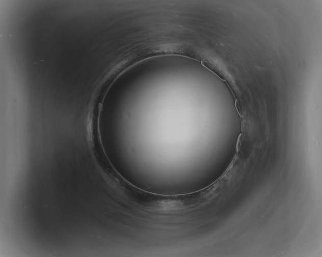 X0000102780154200808181157