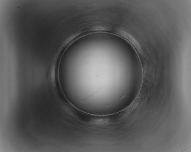 X0000102780155200808181157