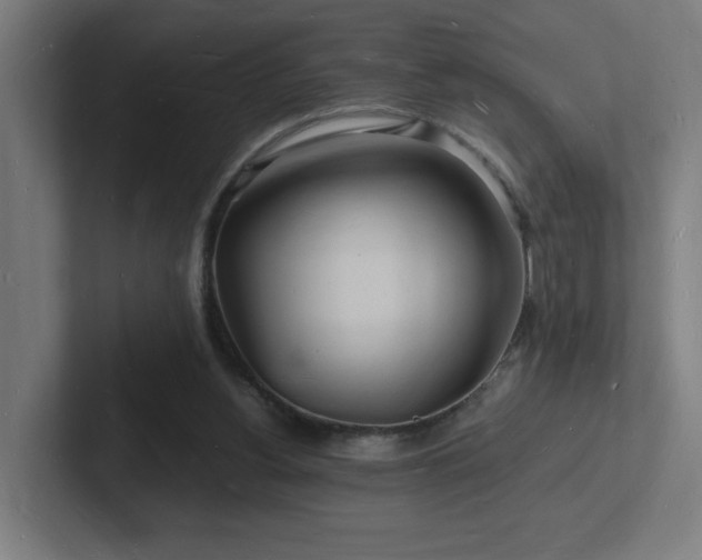 X0000102780156200808181157