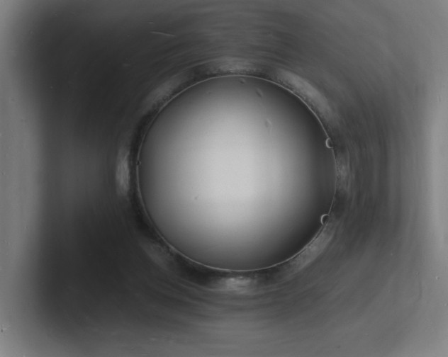 X0000102780158200808181157