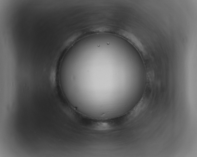 X0000102780159200808181157