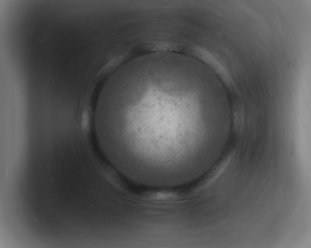 X0000102780165200808181157