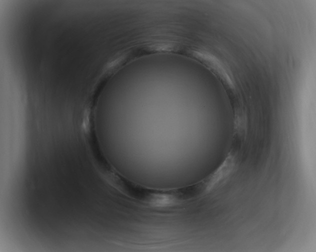 X0000102780167200808181157