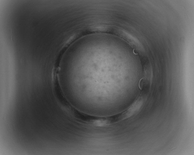 X0000102780168200808181157