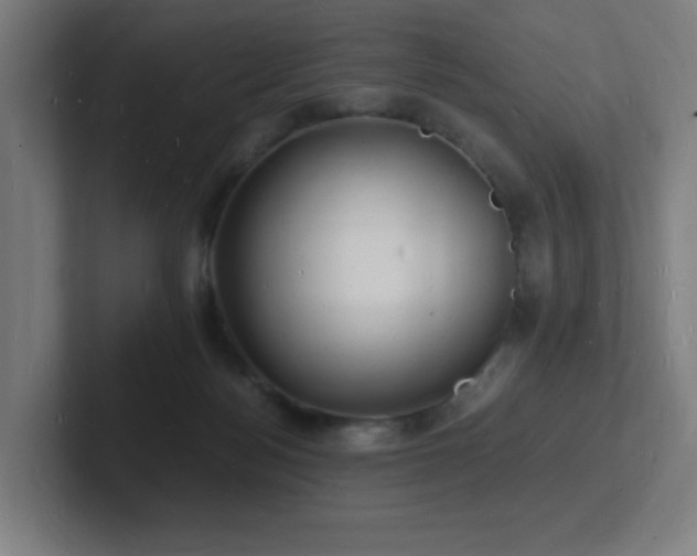 X0000102780172200808181157