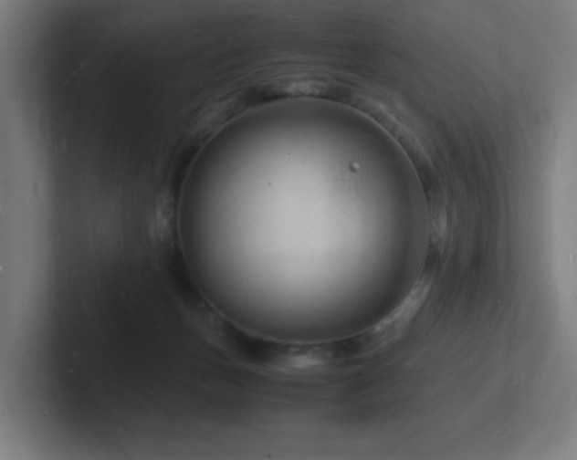 X0000102780175200808181157