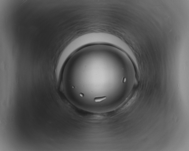 X0000102780176200808181157