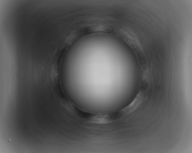 X0000102780179200808181157