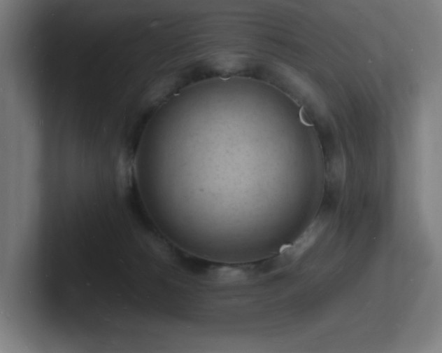 X0000102780180200808181157