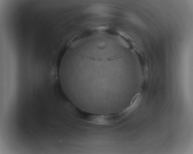 X0000102780182200808181157