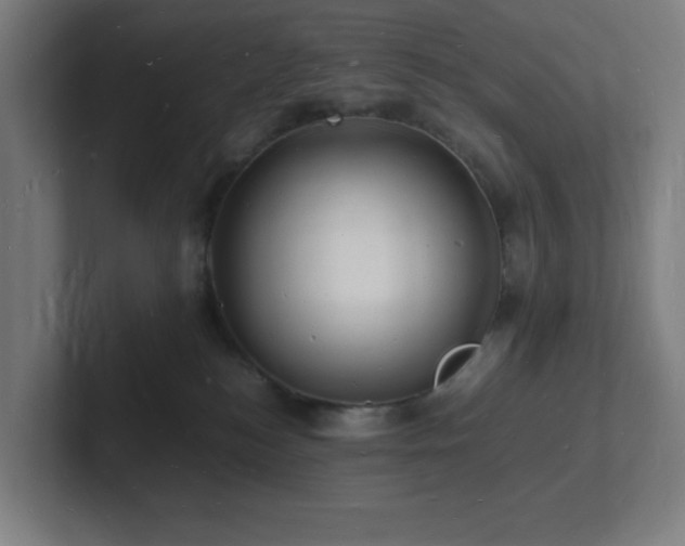 X0000102780184200808181157