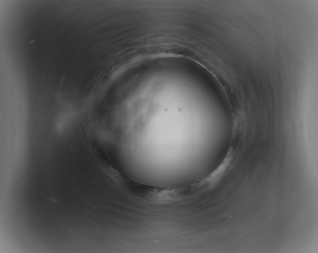 X0000102780186200808181157