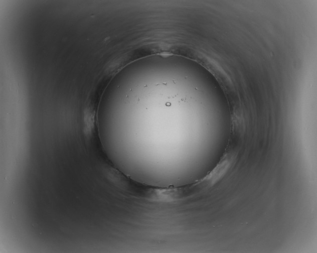 X0000102780188200808181157