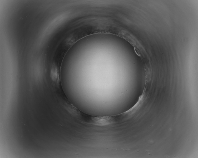 X0000102780191200808181157