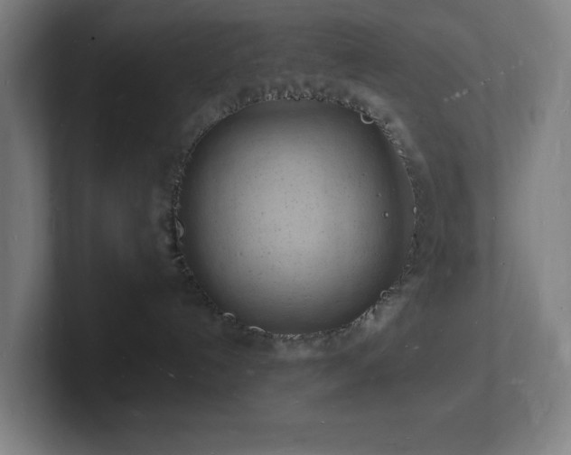 X0000102780192200808181157