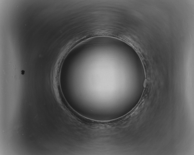 X0000102780193200808181157