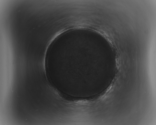 X0000102780196200808181157