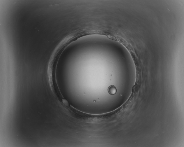 X0000102780197200808181157