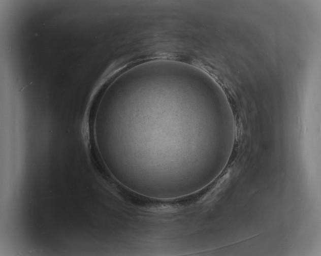 X0000102780198200808181157