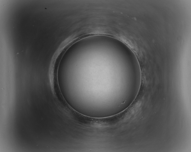 X0000102780199200808181157