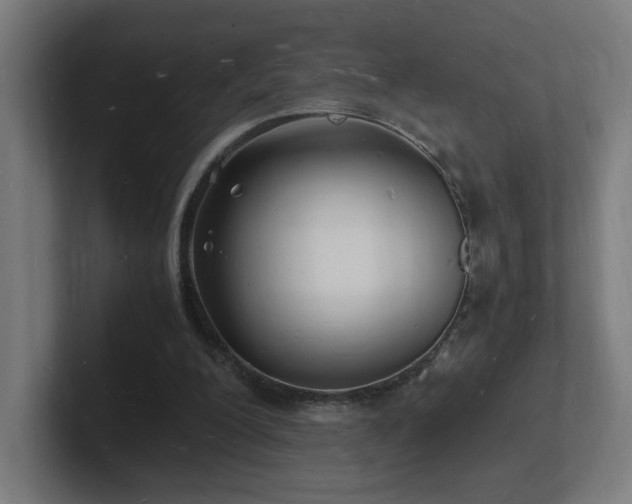 X0000102780200200808181157