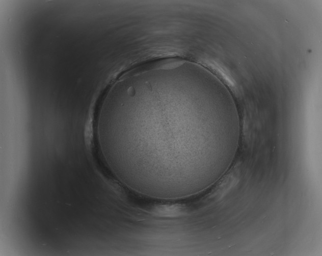 X0000102780202200808181157