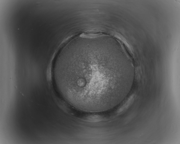 X0000102780203200808181157