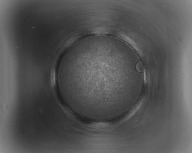 X0000102780205200808181156