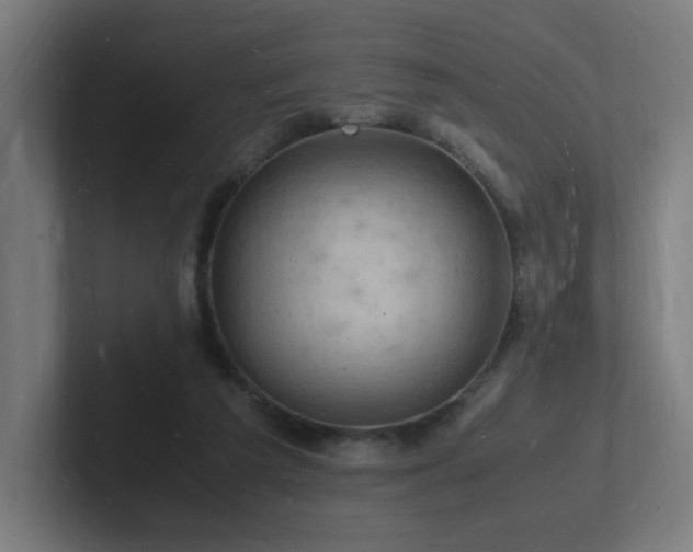 X0000102780209200808181156