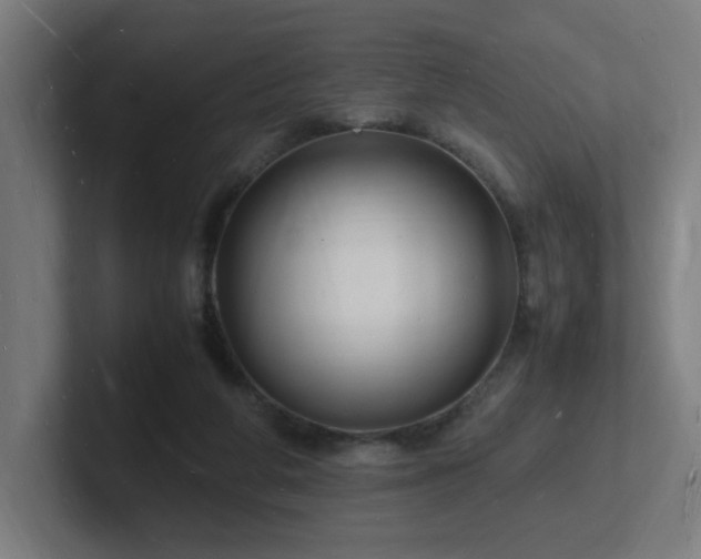 X0000102780210200808181156