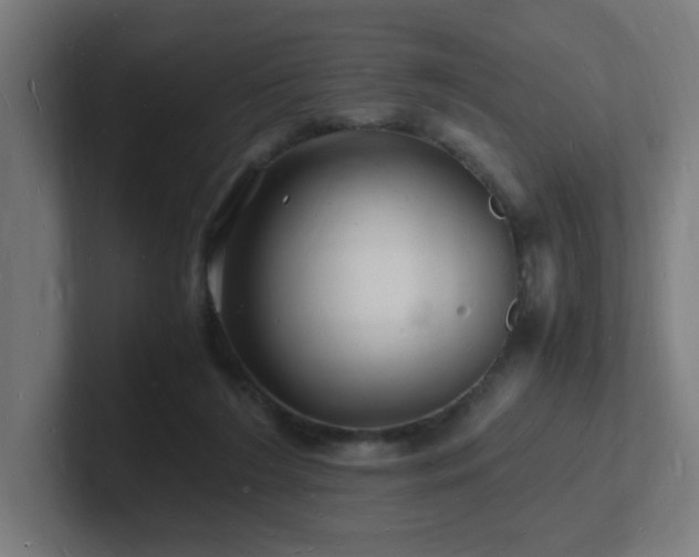 X0000102780212200808181156