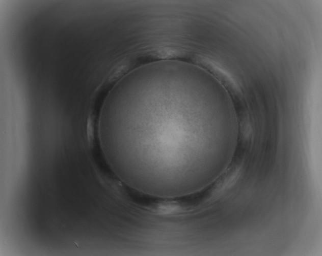 X0000102780214200808181156