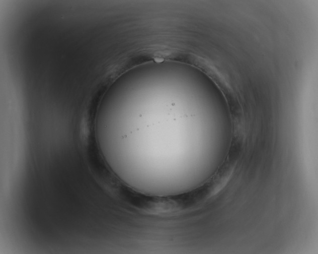 X0000102780215200808181156