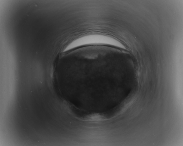 X0000102780219200808181156