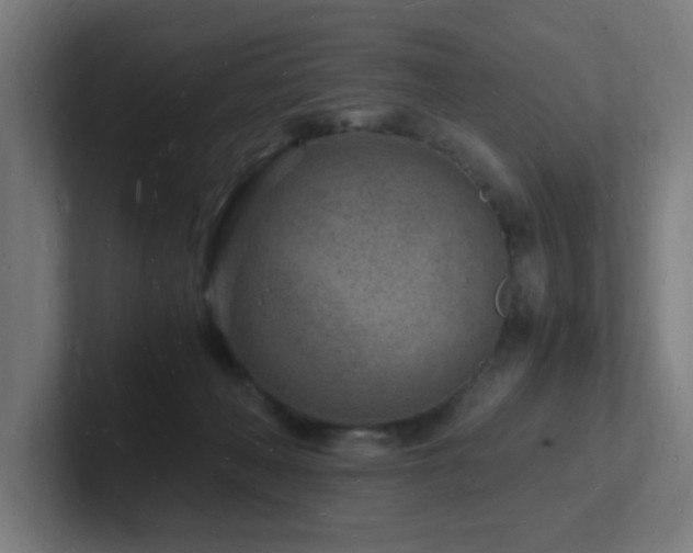 X0000102780222200808181156