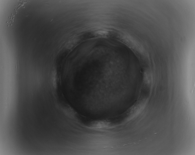 X0000102780223200808181156