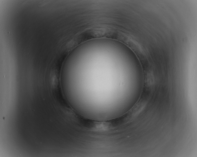 X0000102780226200808181156