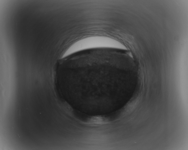 X0000102780227200808181156