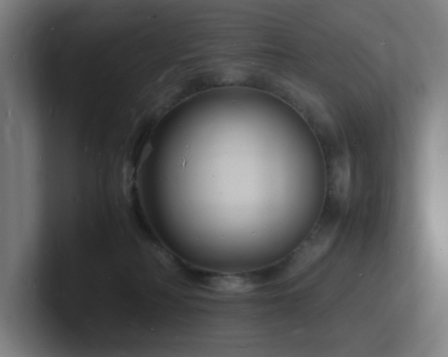 X0000102780230200808181156