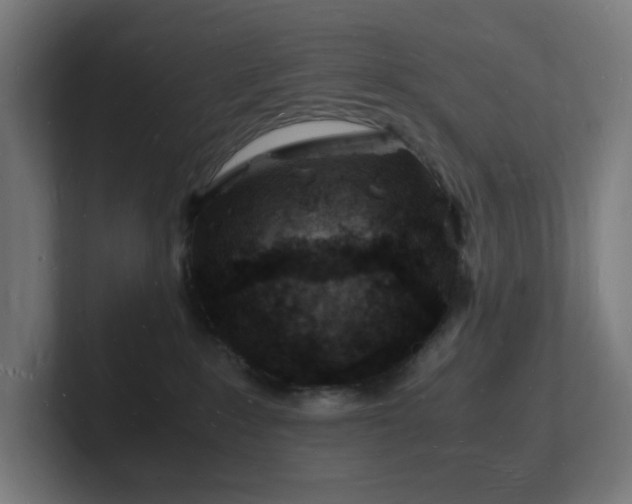 X0000102780235200808181156