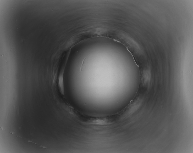 X0000102780236200808181156