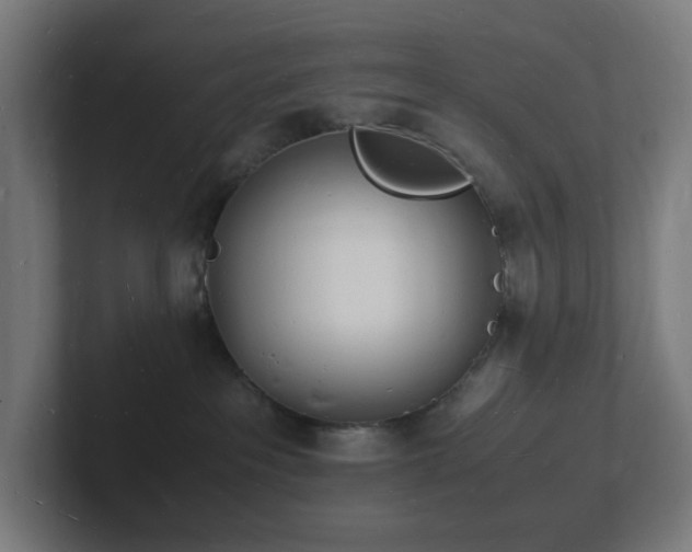 X0000102780237200808181156