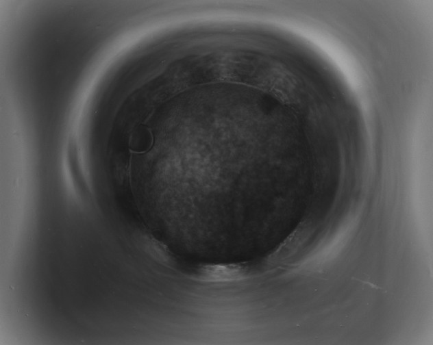 X0000102780239200808181156