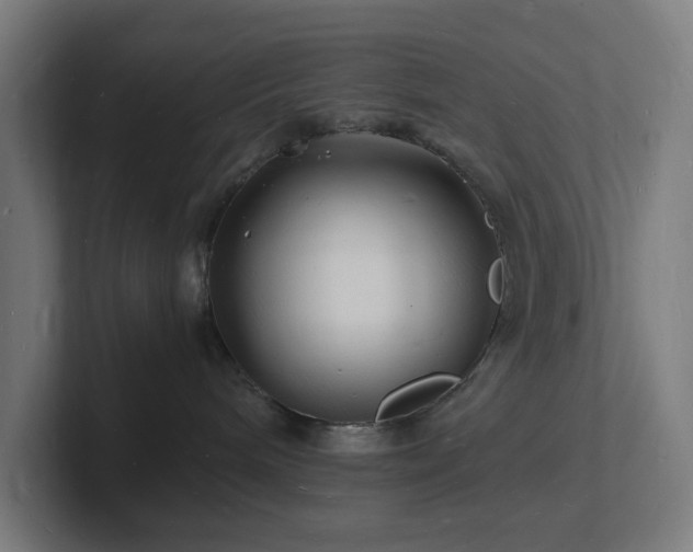 X0000102780240200808181156